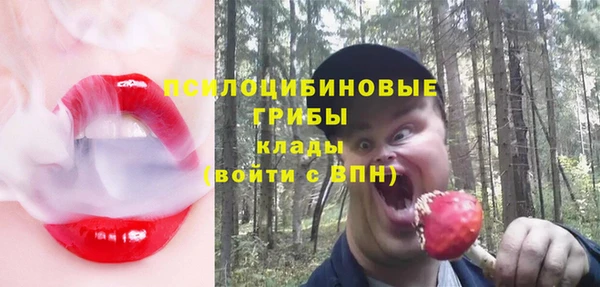 меф Козельск