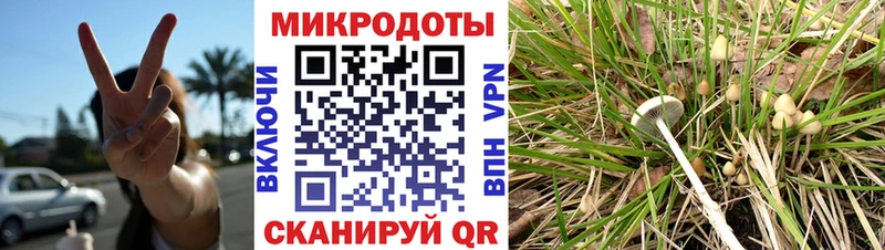 Галлюциногенные грибы GOLDEN TEACHER  Купить закладки  Порхов 