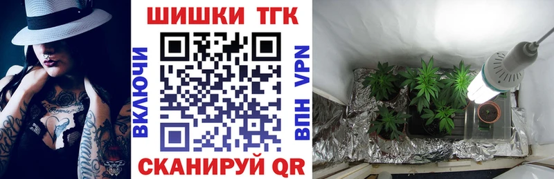 Купить  Порхов  Канабис планчик 